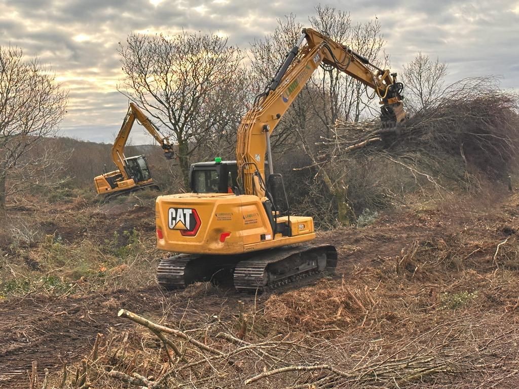 Heathland Restoration