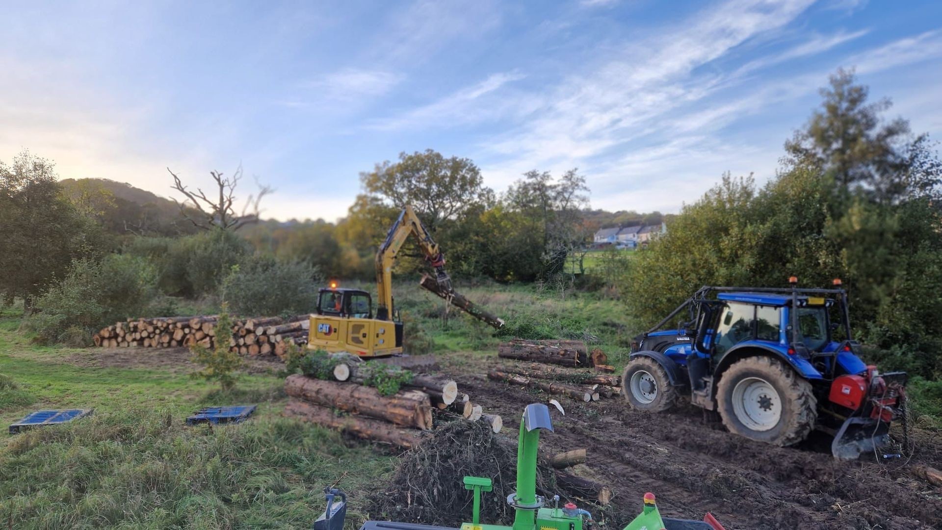 Tree Clearance in Devon